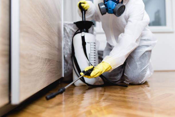 Best Affordable Pest Control Services  in West Wyomissing, PA