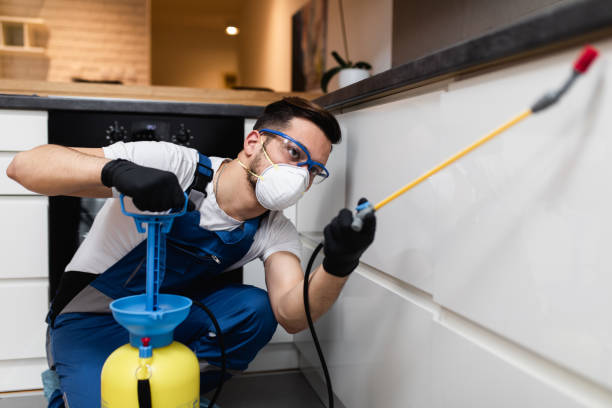 Best Flea Control Services  in West Wyomissing, PA