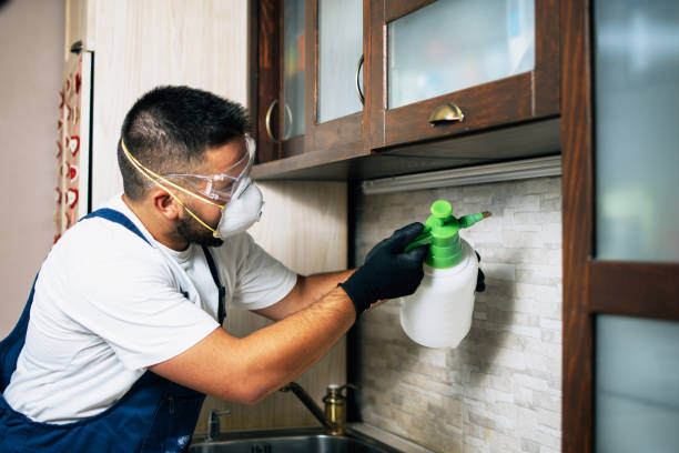 Pest Control for Restaurants in West Wyomissing, PA