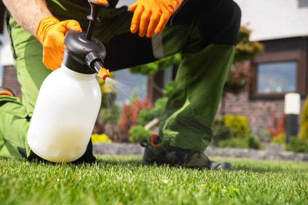 Best Pest Prevention Services  in West Wyomissing, PA