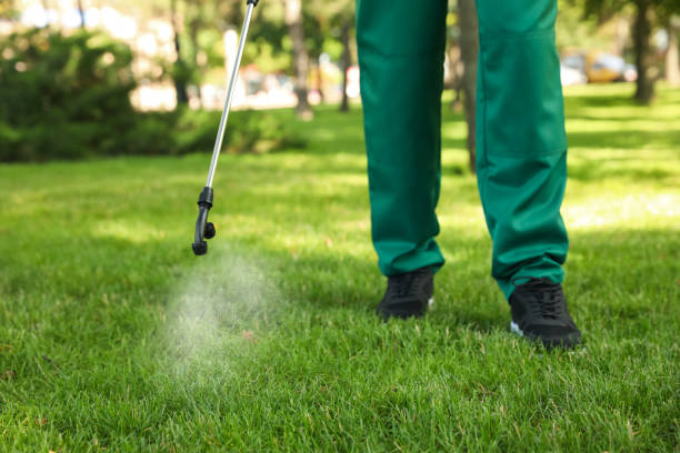 Flea Control Services in West Wyomissing, PA