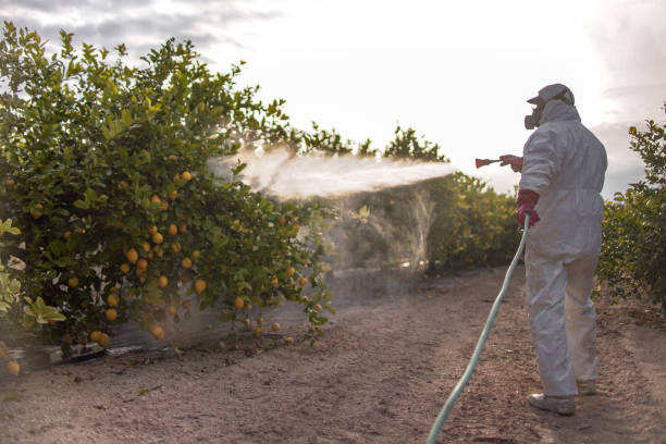 Best Exterminator Services  in West Wyomissing, PA