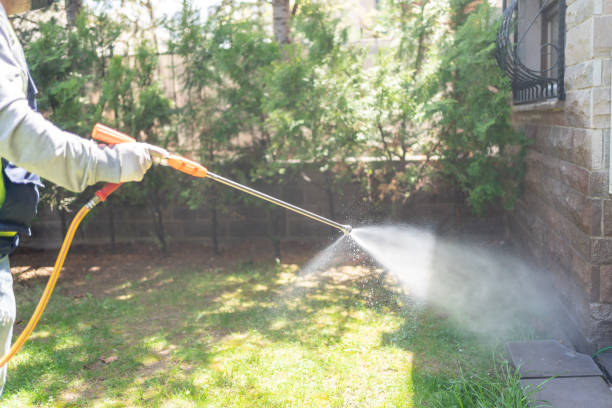 Best Pest Prevention Services  in West Wyomissing, PA