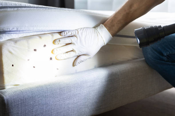 Best Best Pest Control Companies  in West Wyomissing, PA